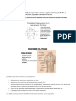 Líneas Topográficas