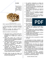 Exercícios Fungi