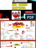 Organizador Visual - Anemia y Anemia Ferropenica