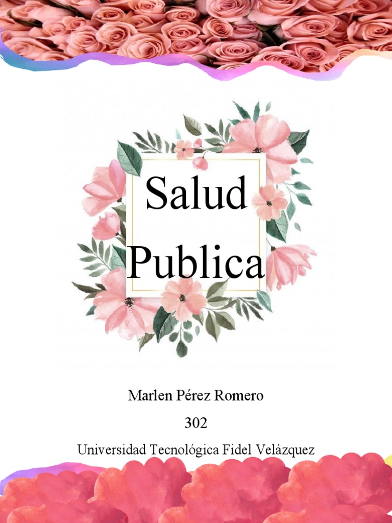 Salud Publica Portada | PDF
