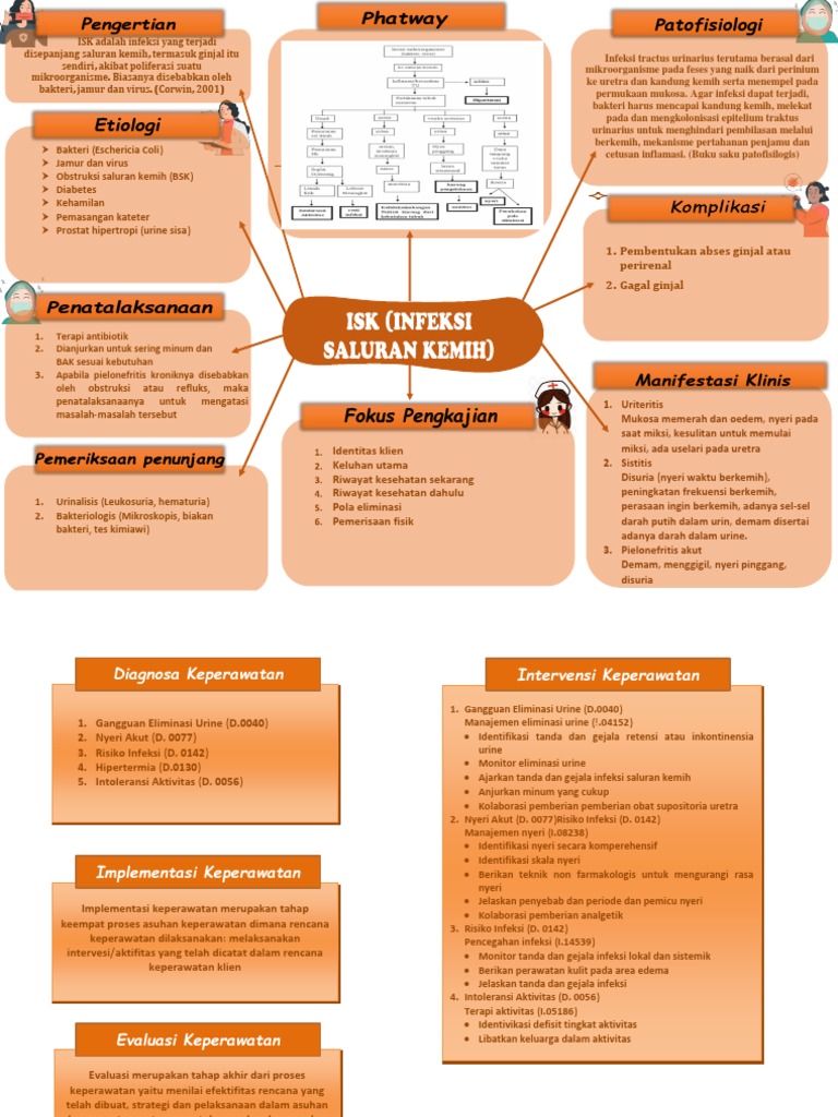 Panduan ISK untuk Tenaga Medis | PDF