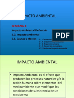 Impactos Ambientales