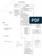 Esquema Del Juicio Oral