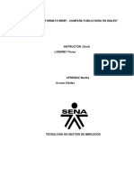 Ap09 Ev04 Formato Brief Campaa Publicitaria en Ingles 9 PDF Free