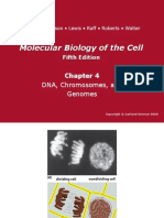 Molecular Biology of The Cell