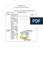 Replicación del ADN en 4 pasos