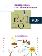 Bioenergética e Introducción Al Metabolismo (Presentación) Autor Instituto de Investigaciones Biotecnologicas