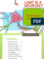 Biopsikologi Neuron Dalam Sistem Sar