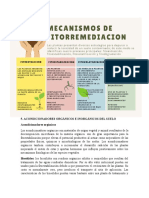 Fitorremediacion