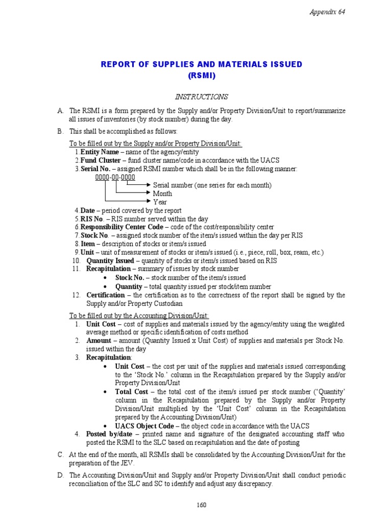 RSMI Instructions for Inventory Reporting | PDF | Business