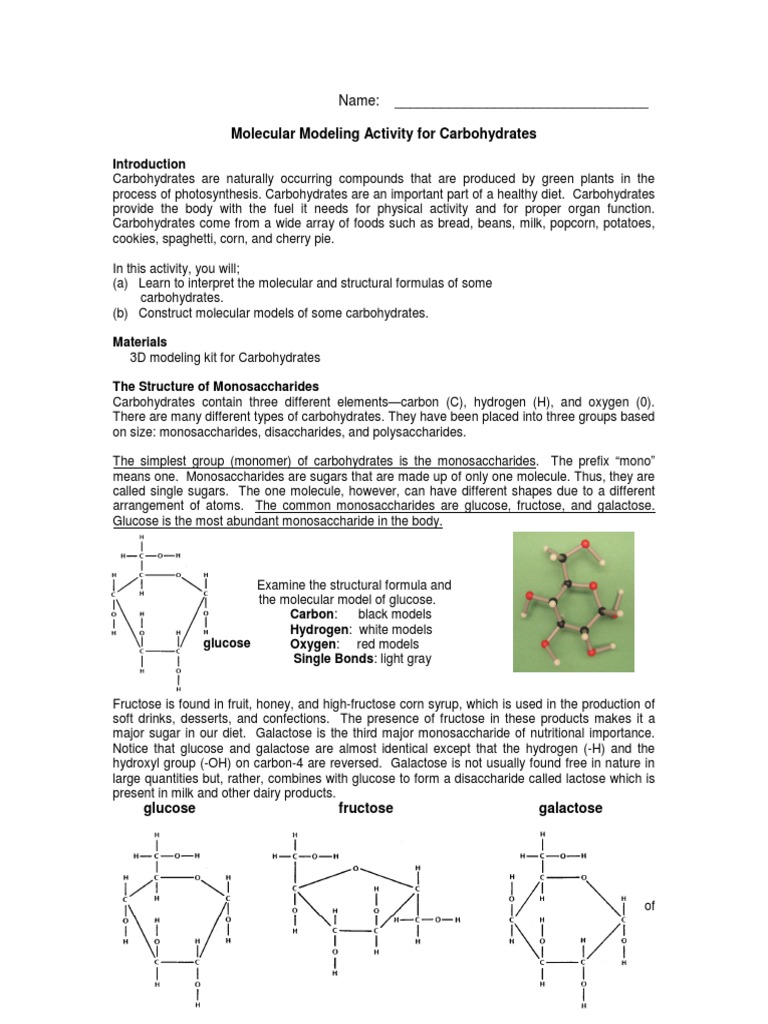 Molecular Modeling Activity For Carbohydrates Name Download Free PDF
