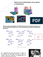 Uwiener Farmacoquimica B Lactamicos 6-2019