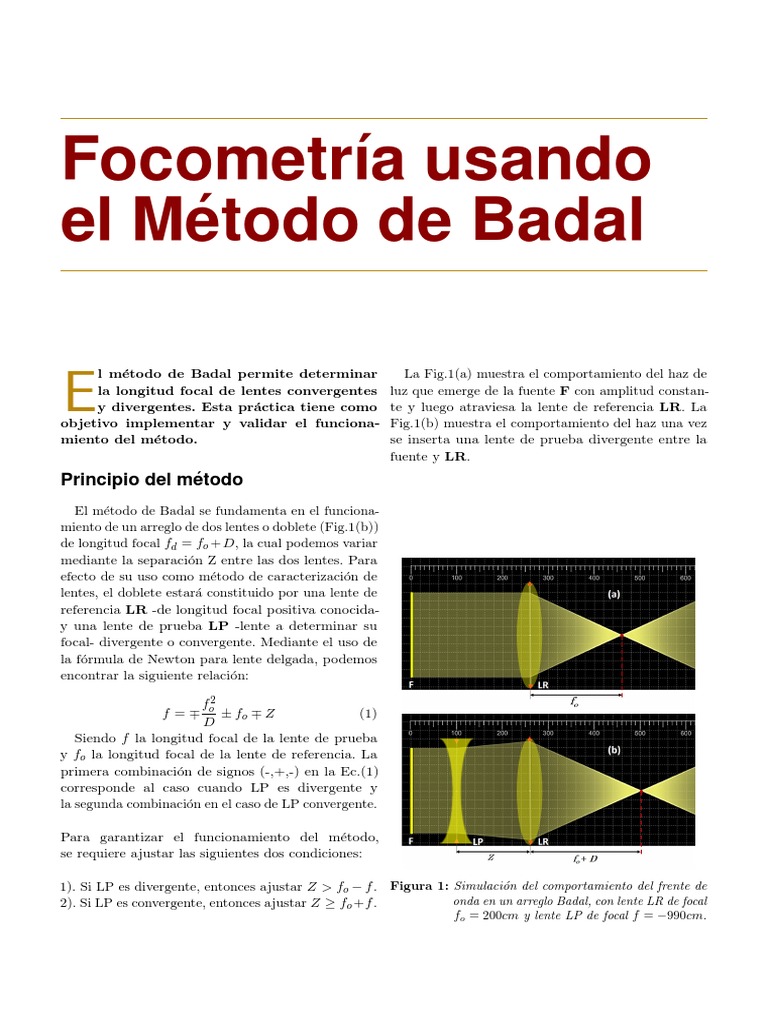 Badal | PDF | Experimentar | Electromagnetismo