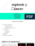 Apotosis y Cancer