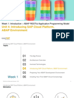 Unit 4: Introducing SAP Cloud Platform, ABAP Environment
