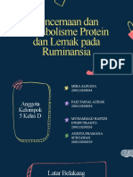 5 - D - Pencernaan Dan Metabolisme Protein Dan Lemak Pada Ruminansia-1