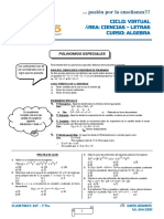 G3 - 03 - Algebra - Polinomios Especiales