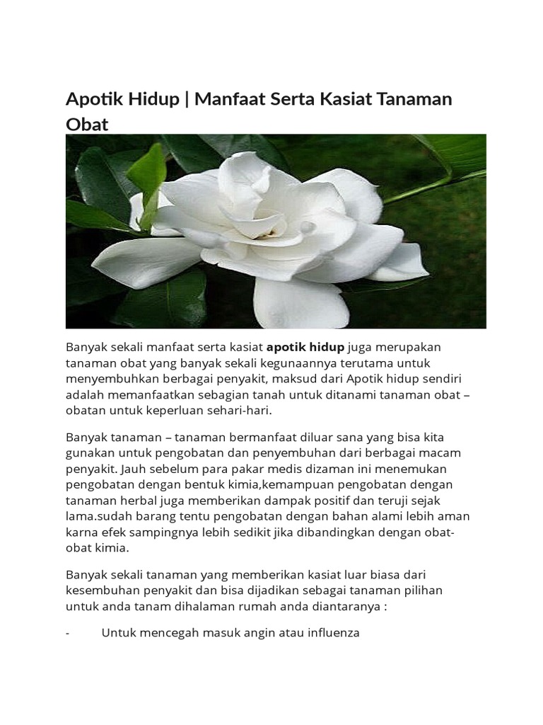 Apotik Hidup: Harta Karun di Halaman Rumah untuk Kesehatan Alami