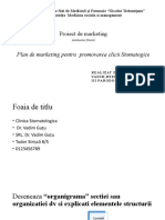 Plan de Marketing Cerint-13611