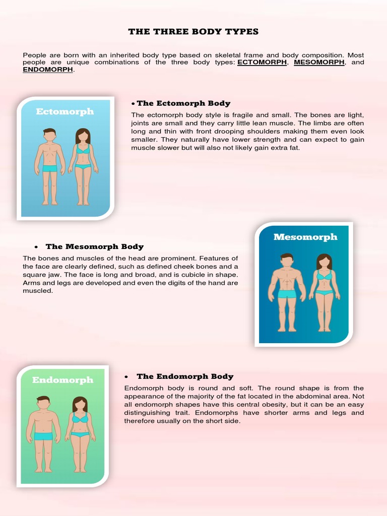 Body Somatotypes Guidelines Of Exercise Pdf Strength Training