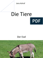 Die Tiere