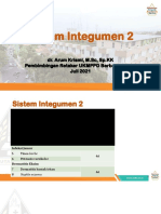 Integumen 2