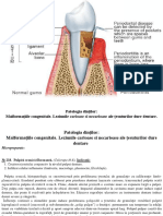 01. Patologia Dinților. Malformatiile Congenitale. Leziunile Carioase Si Necarioase Ale Tesuturilor Dure Dentare.