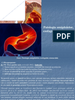 03. Patologia Amigdalelor Esofagului Stomacului. 1