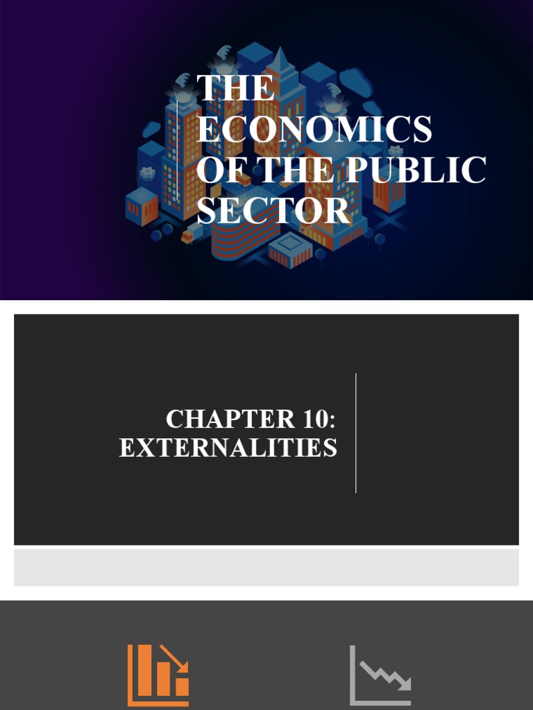 The Economics of The Public Sector PDF Externality Taxes