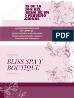 Bliss Spa y Boutique: crecimiento a través del comercio electrónico