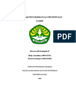 Pengembangan Profesi dan Karir Guru