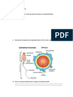 Atividade Gametogênese