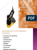 Anatomia de La Extremidad Superior Uasd