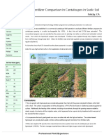 Fertilizer Comparison in Cantaloupes in Sodic Soil: Felicity, CA