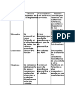 Organelos Comunes