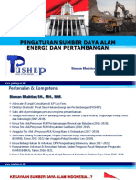 Pengaturan SDA Energi Dan Pertambangan - Bisman Bhaktiar Pelatihan Legal Drafting Pushep 24 Mei 2021