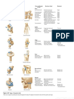Structures Joined Class and Example of Joint Movement: Types of Synovial Joints