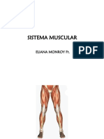 Edf Sistema Muscular Mmii