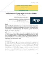 Morphological Characteristics of Some Salvia L. Taxa in Sakarya Province (Turkey)