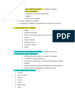 Hepatitis crónica diagnóstico anatomopatológico