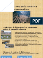 Agricultura en La América Precolombina