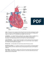 Heart Conditions Guide: Aorta, Arrhythmia, Atrial Fibrillation & More