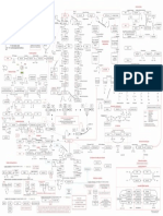 Mapa vías metabólicas