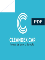Cleandex Car LOGO 2