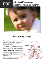 Anatomo-Physiological Peculiarities of The Respiratory System. Percussion of The Lungs.