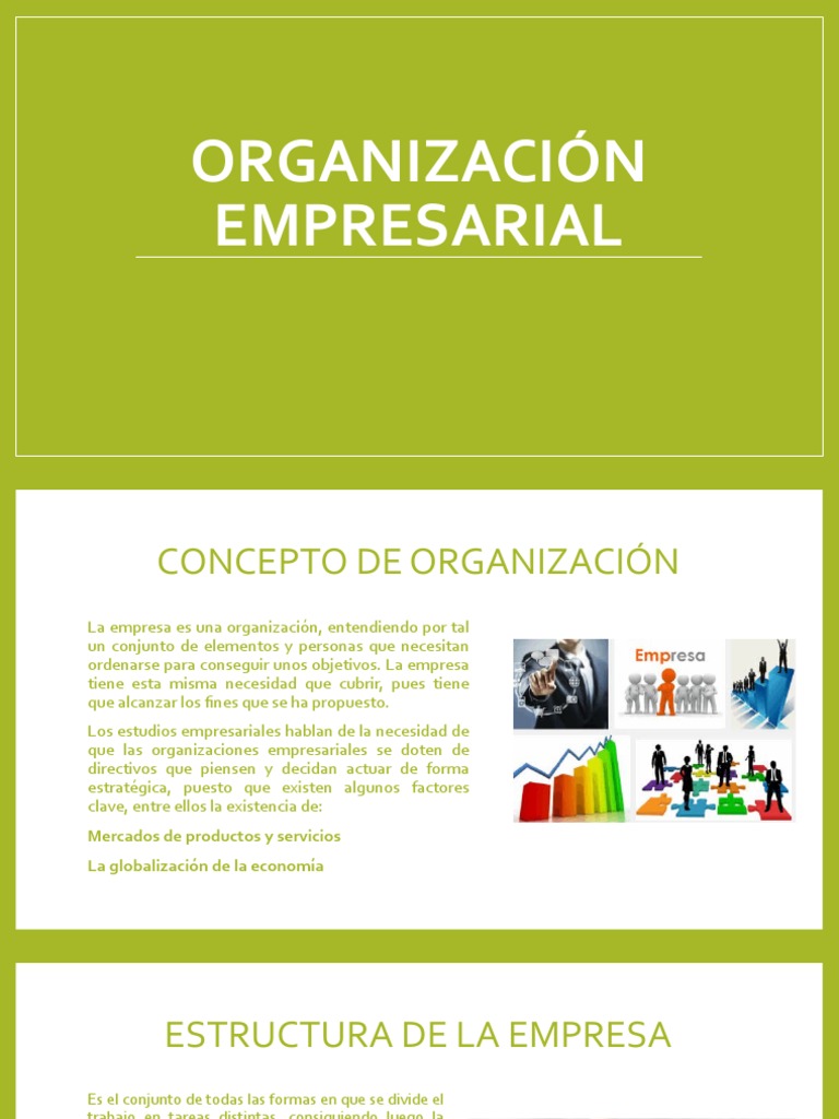 Estructura y Organización Empresarial | PDF | Economias | Business