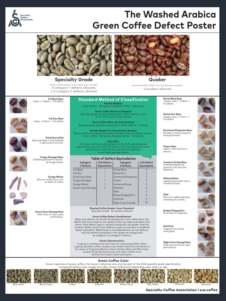 Green Coffee Defect Classification. Poster Final ENG (2018) | PDF ...