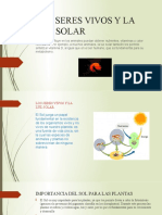 Los Seres Vivos y La Luz Solar