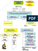 3 1 Definitii Clasificare