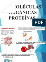 PROTEÍNAS